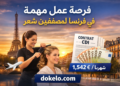 مطلوب حلاقون للعمل في فرنسا سنة 2026 | راتب شهري 1542 يورو وعقد عمل دائم
