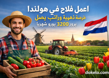 اعمل فلاحا في هولندا سنة 2026 | فرصة موسمية براتب يصل إلى 2389 يورو شهريا