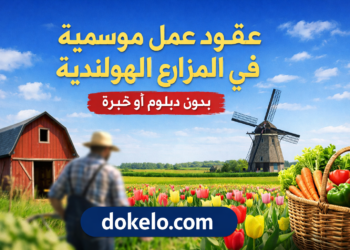 عقود العمل الموسمي في المزارع الهولندية 2026 | فرص بدون شهادة أو خبرة وكيف تبدأ بشكل قانوني
