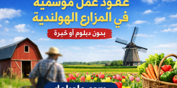 عقود العمل الموسمي في المزارع الهولندية 2026 | فرص بدون شهادة أو خبرة وكيف تبدأ بشكل قانوني