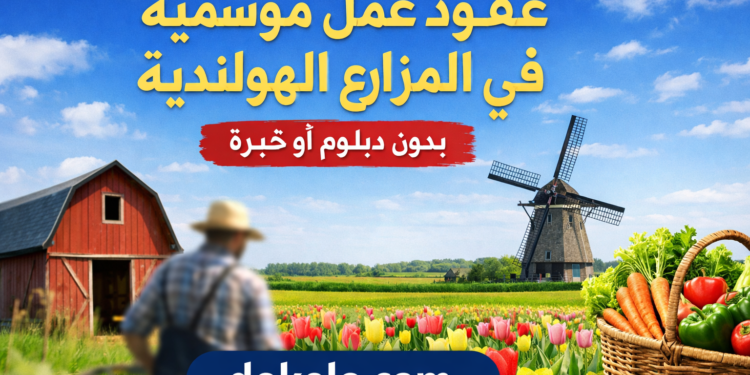 عقود العمل الموسمي في المزارع الهولندية 2026 | فرص بدون شهادة أو خبرة وكيف تبدأ بشكل قانوني